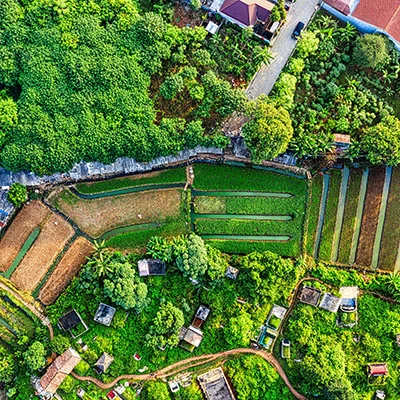 动物医院医疗设备清单查询（动物医院诊疗活动范围）